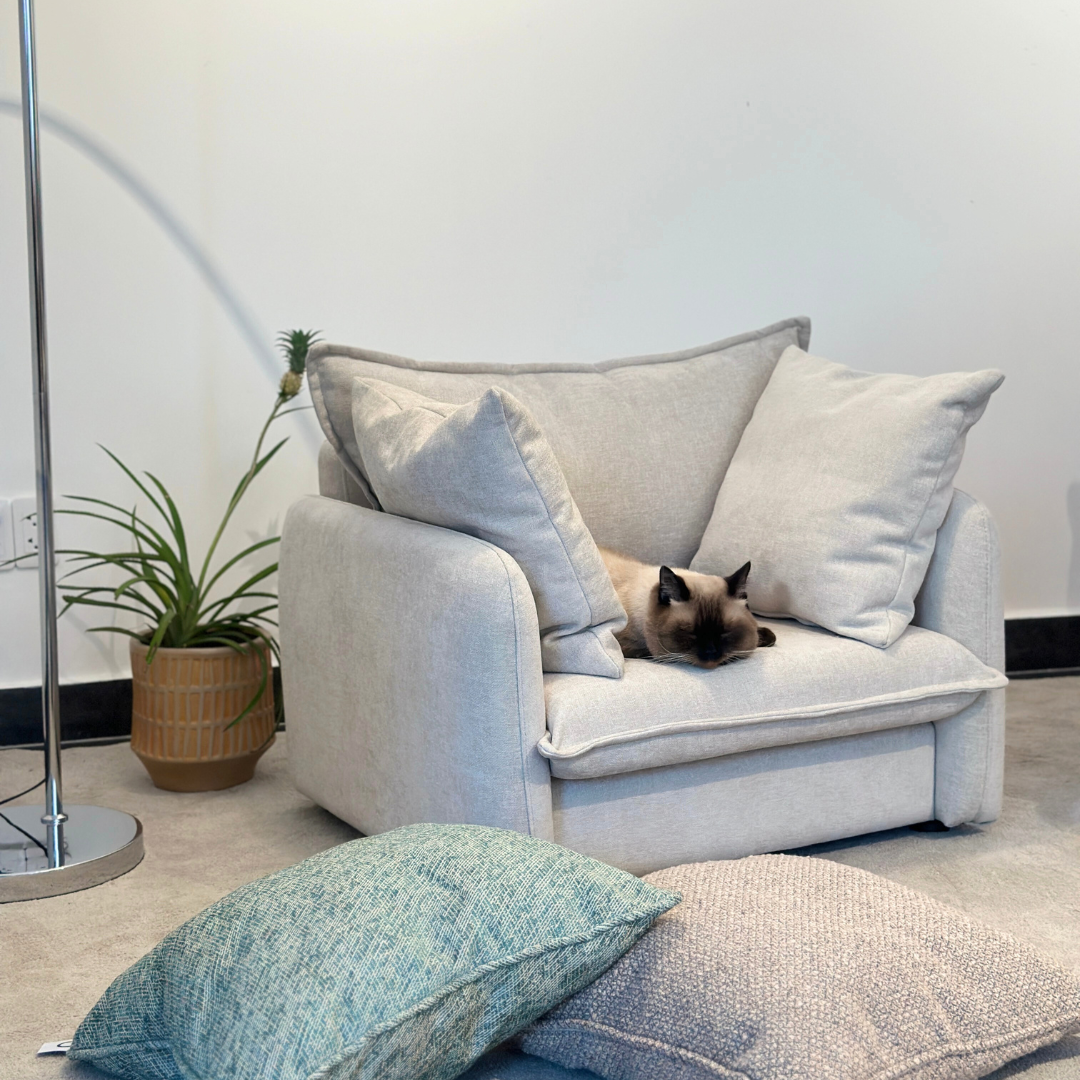 NOE MINI SOFA