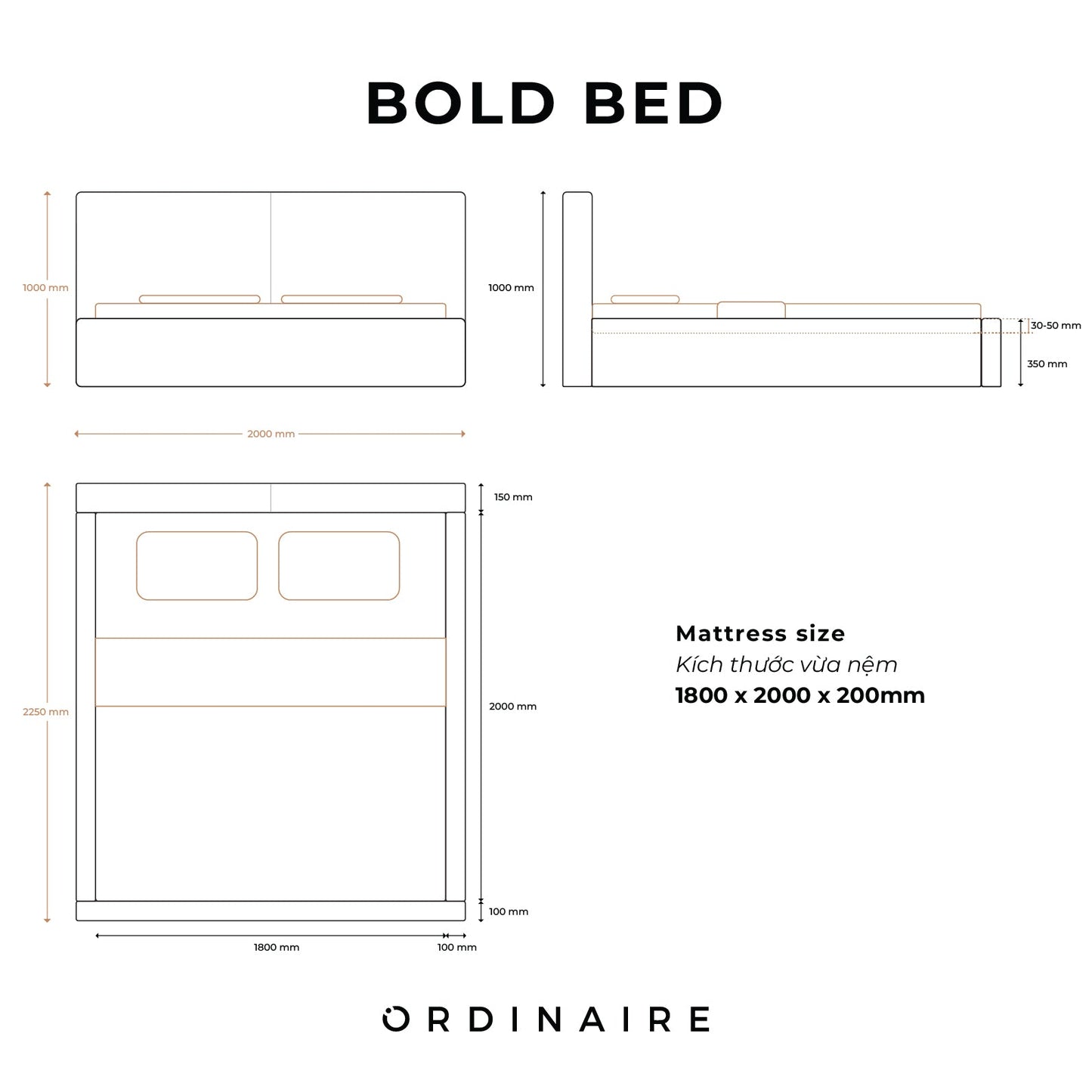 BOLD BED