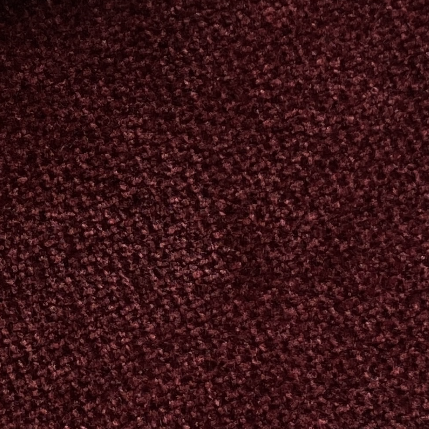 CARINA BED