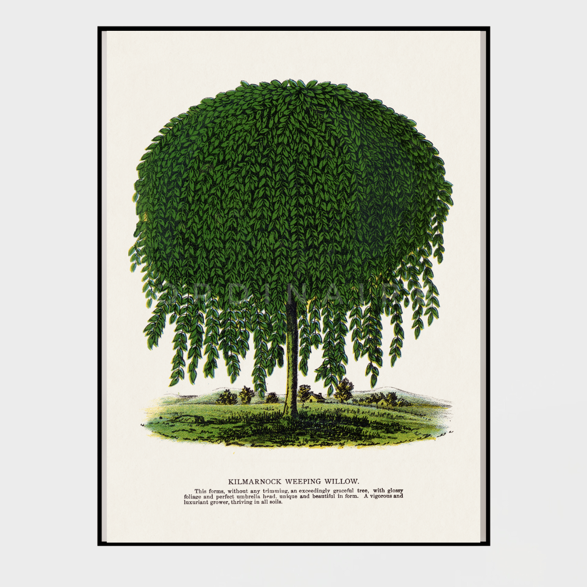 GREENERY PAINTING