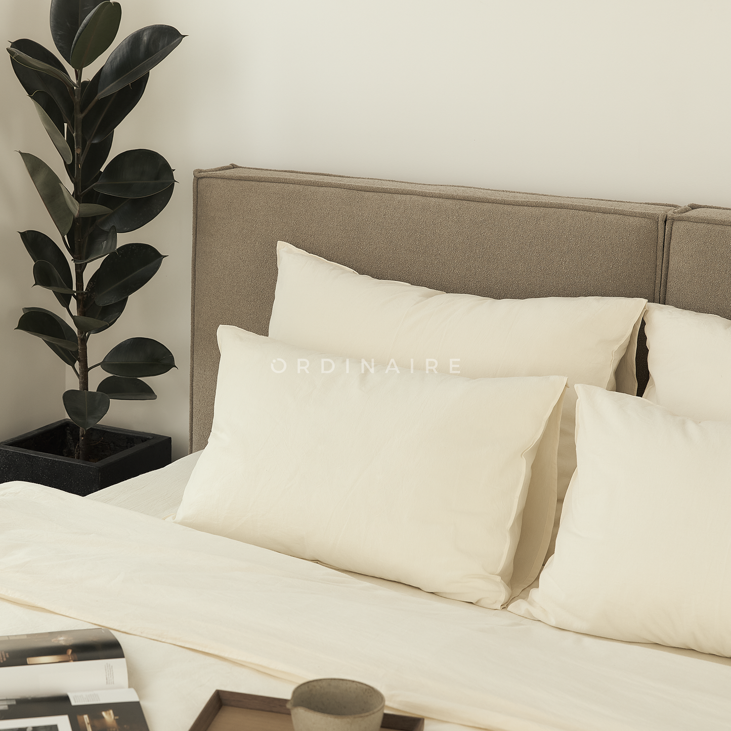BOLD BED