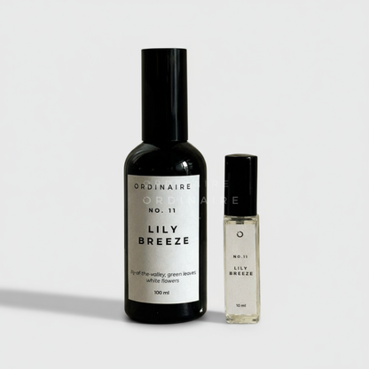 FABRIC SPRAY ORDINAIRE